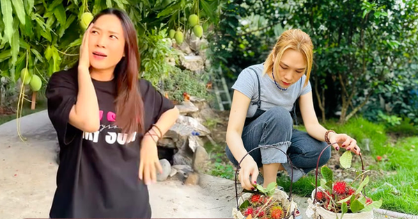 Thú vui đặc biệt của Mỹ Tâm: Trong nhà nữ ca sĩ có gì mà mới "flex nhẹ" đã khiến dân tình trầm trồ? avatar1745898771686 1745898772094790808310 0 0 314 600 crop 17458994060071844047550png