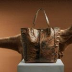 Ý tưởng táo bạo: Sản xuất túi xách từ da khủng long bạo chúa nhờ vào DNA cách đây hàng triệu năm để bảo vệ môi trường? avatar1746000319947 17460003203471514929553jpg