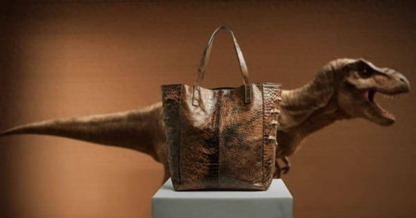 Ý tưởng táo bạo: Sản xuất túi xách từ da khủng long bạo chúa nhờ vào DNA cách đây hàng triệu năm để bảo vệ môi trường? avatar1746000319947 17460003203471514929553jpg