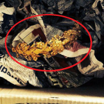 Đang dọn gầm giường, cụ ông "sốc ngang" khi thấy "báu vật" vàng 6 tỷ đồng avatar1746145342944 17461453434971777014018png