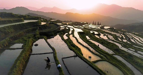 Biến đổi khí hậu có thể làm tăng thạch tín trong gạo avatar1746148218633 1746148218900655228903 0 0 314 600 crop 17461482272881200043044jpg