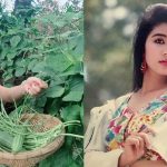 Mỹ nhân cả nước biết mặt: Từng chảnh chọe, chèn ép người khác, cuộc sống tuổi 53 ra sao sau khi giải nghệ? avatar1746332862050 17463328625682074053504 0 0 419 800 crop 17463329227671799006697jpg