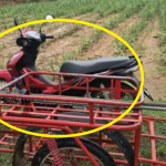 Không nghe lời khuyên của vợ, nhất quyết đi ra đồng lúc mưa gió, người đàn ông gặp cái kết bi thảm avatar1746513306174 1746513306486625875042 0 0 720 1152 crop 17465133188841007609757png