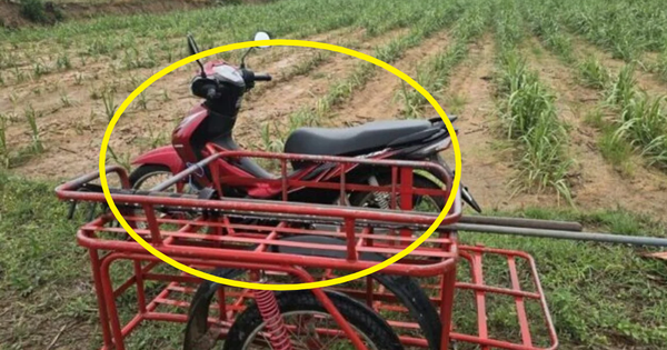 Không nghe lời khuyên của vợ, nhất quyết đi ra đồng lúc mưa gió, người đàn ông gặp cái kết bi thảm avatar1746513306174 1746513306486625875042 0 0 720 1152 crop 17465133188841007609757png