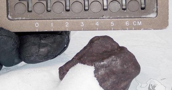 Vật thể rơi xuống Nam Cực làm thay đổi lịch sử Trái Đất avatar1746607756113 174660775635833755529 0 0 315 504 crop 17466077676001971030259jpg