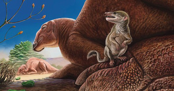 Sinh vật quái dị 90 triệu tuổi lộ diện giữa sa mạc Gobi avatar1746681418559 1746681418833532844292 0 96 315 600 crop 1746681431045175080747jpg