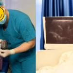 Ngô Thanh Vân hé lộ thông tin đặc biệt về con đầu lòng avatar1746862169391 17468621703491199049772png