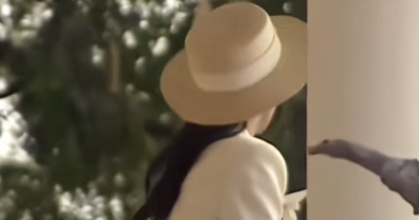 Video Hoa hậu Ý Nhi bị quay lén tại Miss World avatar1747117888058 1747117888529418146893 0 0 980 1871 crop 1747118059000931707383png