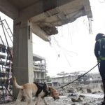 Thái Lan kết thúc tìm kiếm tại tòa nhà sập do động đất, tìm được 89 thi thể avatar1747183220889 17471832212221763340966 0 55 315 559 crop 174718324559727054504jpeg