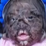 Vì sao bé gái "người sói" đầy lông lá này được gọi là "đứa trẻ đến từ thiên đường"? avatar1747300095851 1747300096082984689822 154 0 877 1157 crop 1747300120847455874572jpg