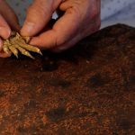 "Vuốt quỷ" trên đá viết lại lịch sử tiến hóa địa cầu avatar1747376929420 1747376929596312563560 0 0 315 504 crop 17473769445581964331496jpg