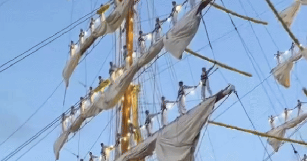 Vụ tàu va chạm vào cầu Brooklyn ở Mỹ: Xót xa video ghi lại cảnh hàng chục người đang đứng trên cột tàu avatar1747555458486 17475554589771333963850 4 0 354 560 crop 1747555478443364516829gifpng