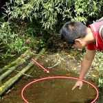 Lần theo tiếng động dưới vũng nước nông, cán bộ kiểm lâm hân hoan tìm thấy loài "tuyệt chủng" hơn 50 năm avatar1747643477892 17476434785541195907315 0 90 506 900 crop 1747643513728662996918jpg