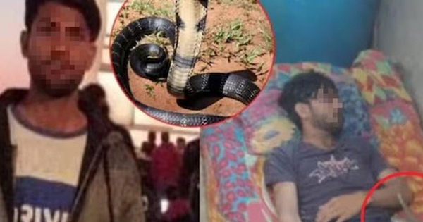 Nam thanh niên 25 tuổi tử vong sau khi bị rắn cắn 10 lần trong khi ngủ avatar1747707455933 1747707456242803401450 0 63 315 567 crop 17477074789311443938553jpeg