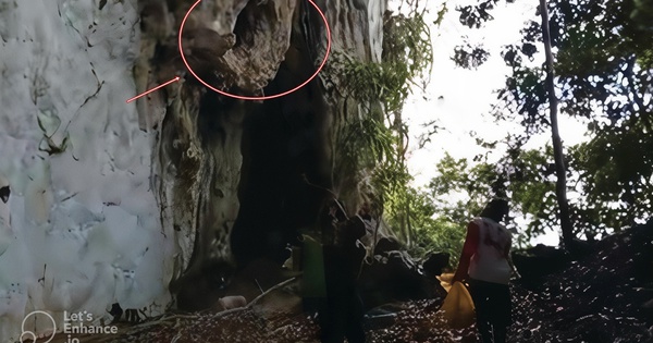 Lần theo manh mối được cung cấp tới vách đá, chuyên gia hân hoan tìm thấy loài "tuyệt chủng" hơn 170 năm avatar1747906436039 17479064363141953892758jpg