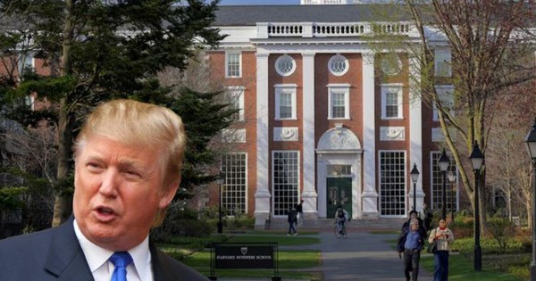 NÓNG: Đại học Harvard bị cấm nhận sinh viên nước ngoài avatar1747967359863 17479673605531900719668 0 19 450 739 crop 1747967375283834224383jpg
