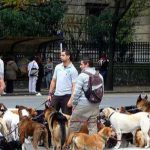 Bên trong thành phố nơi mọi người nuôi chó nhiều hơn nuôi em bé: Không phải ở Hàn Quốc, Nhật Bản hay châu Âu avatar1747992064446 1747992064778329969342 0 66 315 570 crop 1747992082462719098397jpg