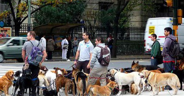 Bên trong thành phố nơi mọi người nuôi chó nhiều hơn nuôi em bé: Không phải ở Hàn Quốc, Nhật Bản hay châu Âu avatar1747992064446 1747992064778329969342 0 66 315 570 crop 1747992082462719098397jpg