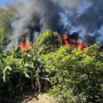 Bất cẩn khi hâm nóng đồ ăn, cụ ông làm cháy 3 ngôi nhà avatar1747992199993 1747992200419448255256 0 67 315 571 crop 1747992213779897334905jpg