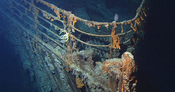 Vì sao xác tàu Titanic chứa đầy quần áo và giày của hành khách xấu số, nhưng tuyệt nhiên không tìm thấy xương người? avatar1748050097627 17480500979531431267854 0 36 677 1119 crop 17480501161291451094568jpg