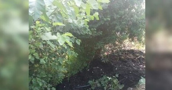 Đang ngủ dưới gốc cây, người đàn ông bị đổ bùn thải lên người, tử vong avatar1748055376965 17480553772901429004356 0 51 315 555 crop 17480553995021482763984jpg