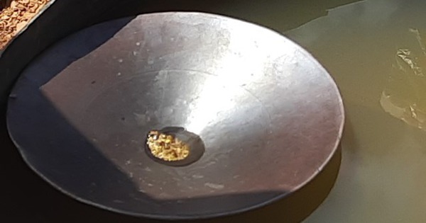 Cảnh sát ập vào một cơ sở kinh doanh, tịch thu 33 cây vàng và 2,1 tỷ đồng tiền mặt của một doanh nhân avatar1748055577584 1748055577828804799838 40 0 440 640 crop 17480556000861796631674jpg