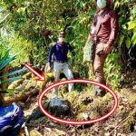 Lần theo tiếng động trên đám rêu ẩm ướt, cán bộ kiểm lâm hân hoan tìm thấy loài "tuyệt chủng" hơn 40 năm avatar1748158881383 1748158882498577741496 231 0 719 780 crop 17481608715681840453977jpg