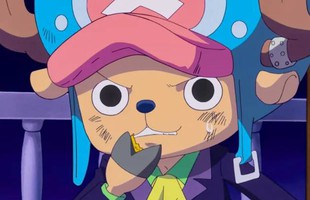 One Piece: Chopper có thể trở thành "lá bài tẩy" để giành chiến thắng trước Hiệp Sĩ Thánh avatar1748248655226 17482486554931974357343jpg