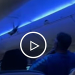 Video chim bồ câu lọt vào cabin gây hỗn loạn, máy bay Mỹ dừng cất cánh avatar1748507258487 17485072587061178411464 0 97 270 529 crop 174850759446182071334png