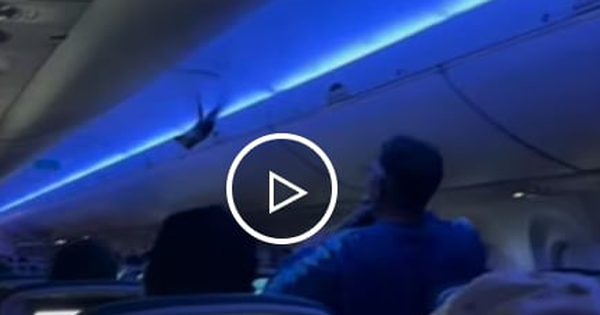 Video chim bồ câu lọt vào cabin gây hỗn loạn, máy bay Mỹ dừng cất cánh avatar1748507258487 17485072587061178411464 0 97 270 529 crop 174850759446182071334png