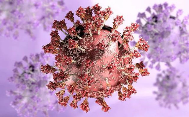 Biến thể mới NB.1.8.1 của SARS-CoV-2 lan rộng ở Australia- Ảnh 1.