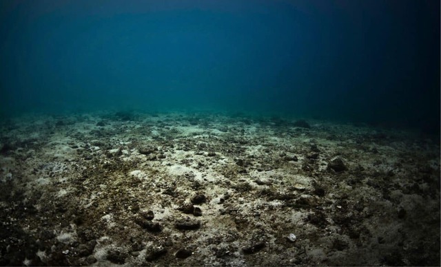 Không phải dầu mỏ, châu Âu phát hiện kho báu ‘vô hạn’ ở đại dương, tiềm năng khai thác tới 45.000 tấn/năm, định hình lại bản đồ năng lượng sạch toàn cầu- Ảnh 1. Không phải dầu mỏ, châu Âu phát hiện kho báu ‘vô hạn’ ở đại dương, tiềm năng khai thác tới 45.000 tấn/năm, định hình lại bản đồ năng lượng sạch toàn cầu- Ảnh 1.