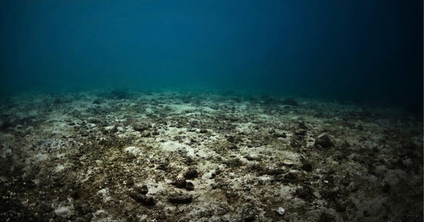 Không phải dầu mỏ, châu Âu phát hiện kho báu ‘vô hạn’ ở đại dương, tiềm năng khai thác tới 45.000 tấn/năm, định hình lại bản đồ năng lượng sạch toàn cầu avatar1748601941167 1748601941458213335731jpg