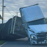 Lật xe tải ở Mỹ, 250 triệu con ong mật thoát ra ngoài avatar1748761253422 17487612541691071964435png