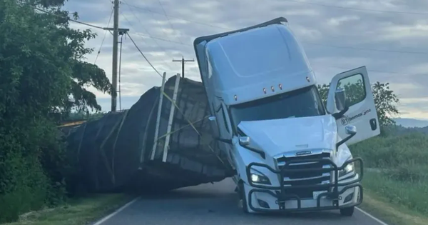 Lật xe tải ở Mỹ, 250 triệu con ong mật thoát ra ngoài avatar1748761253422 17487612541691071964435png