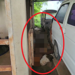 Đêm không thấy chồng về nhà, sáng hôm sau vợ ra gara kiểm tra thì bắt gặp cảnh tượng ám ảnh avatar1748764926986 17487649278132066894617png