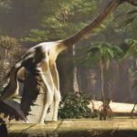 Dấu chân "tử thần bầu trời" viết lại kỷ nguyên quái vật avatar1748846652065 1748846652290832804485 0 20 315 524 crop 174884666471589604796jpg