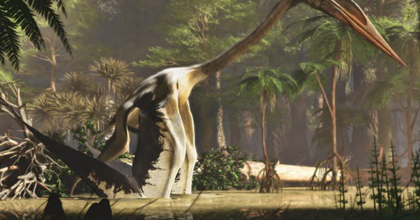 Dấu chân "tử thần bầu trời" viết lại kỷ nguyên quái vật avatar1748846652065 1748846652290832804485 0 20 315 524 crop 174884666471589604796jpg