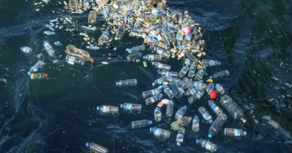 Nhựa thế hệ mới tan được trong nước biển avatar1749171275711 1749171275940337398074png