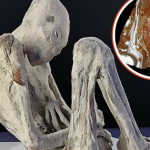 Bí mật động trời sau cánh tay ôm bụng suốt 1.200 năm của "xác ướp người ngoài hành tinh" avatar1749311399157 1749311399741818280729png