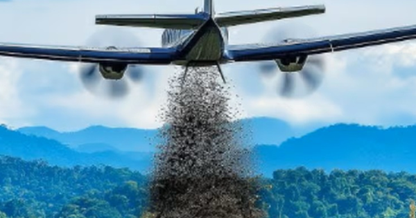 Mỹ tăng cường thả ruồi từ mức 20 triệu lên 100 triệu con xuống Panama mỗi tuần: Lý do thực sự là gì? avatar1749626722823 17496267231561229754902 0 49 315 553 crop 1749626738957880087121png