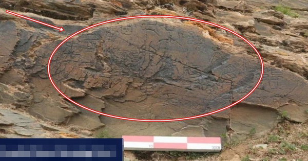 Manh mối bất ngờ về thuốc trường sinh của Tần Thủy Hoàng: Thứ để lại khiến chuyên gia tranh cãi kịch liệt avatar1749700294170 17497002946501703348048png