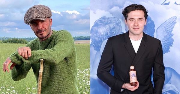 Con cả nhà Beckham ngày càng nhận "trái đắng" sau khi liên tục bất hiếu với bố mẹ avatar1749742141518 1749742142573901352627 0 0 352 672 crop 17497421965552050268804jpg