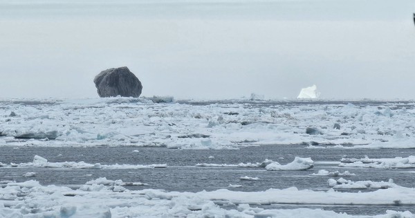 Tảng băng đen tiếp cận Canada, mang bí mật lớn? avatar1749873859228 1749873859630855793011jpg