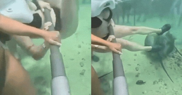 Mũ cung cấp oxy bất ngờ bị rơi, du khách suýt chết ngạt trong trải nghiệm "đi bộ dưới biển" avatar1749874393712 1749874393943212552758gifpng