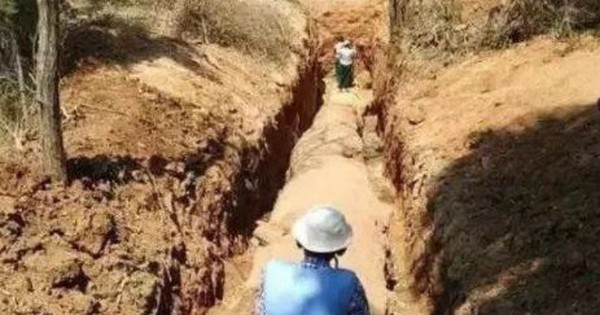 Đang làm ruộng, lão nông bất ngờ phát hiện khúc gỗ trị giá 600 tỷ đồng avatar1749875208078 17498752084051243254095jpg