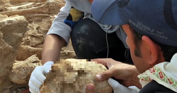 Phát hiện hài cốt cô gái Iran có hộp sọ "như ngoài hành tinh" avatar1750065786053 17500657866521170640495 0 65 315 569 crop 17500658657751094531589jpeg