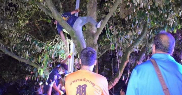 Tối vẫn không thấy con trai trở về, mẹ đi tìm thì ngất xỉu khi thấy con đang nằm bất động trên cây avatar1750239540792 1750239541265840352719 0 100 720 1252 crop 1750239554143309839197jpg