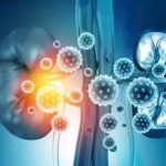 Tác động bất ngờ của vaccine COVID-19 đến chức năng thận avatar1750244644704 175024464503045115804jpeg