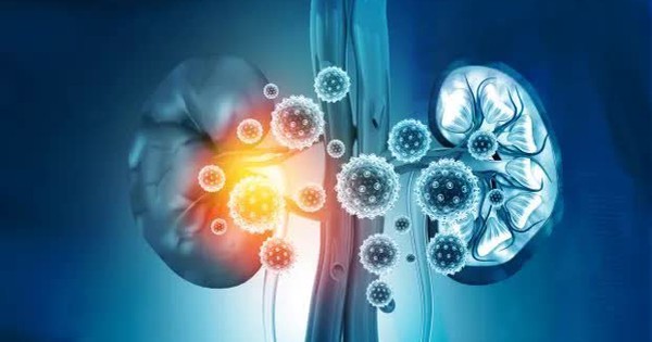 Tác động bất ngờ của vaccine COVID-19 đến chức năng thận avatar1750244644704 175024464503045115804jpeg